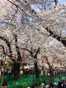 hoc vien du hoc thanh giang tham gia le hoi hoa anh dao tai nhat